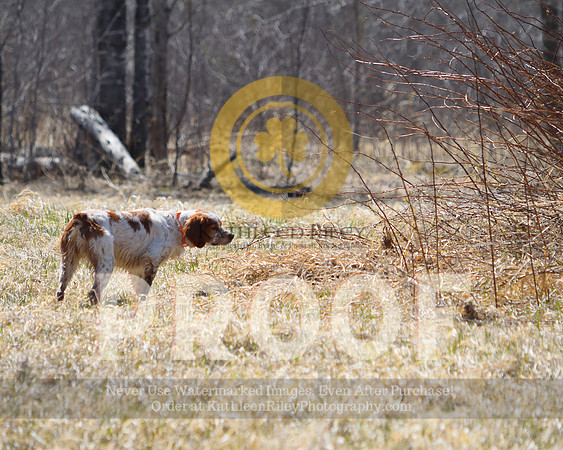 2021-04-22-AmyKleine-7074