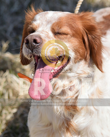 2021-04-22-AmyKleine-7117