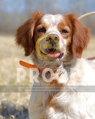2021-04-22-AmyKleine-7123