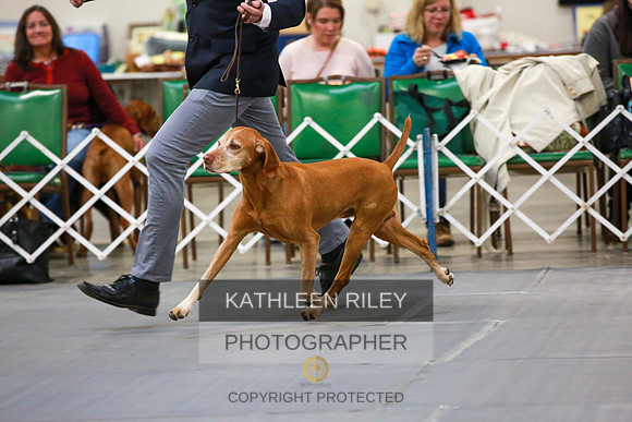 2022-KathleenRileyPhotography-7883