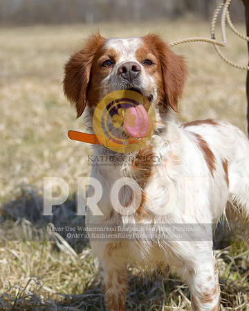 2021-04-22-AmyKleine-7126