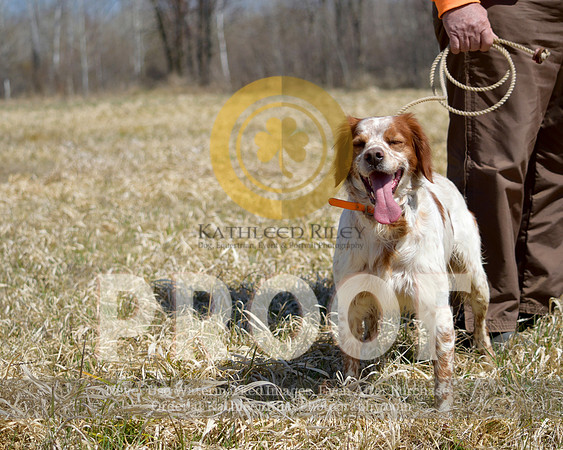 2021-04-22-AmyKleine-7131
