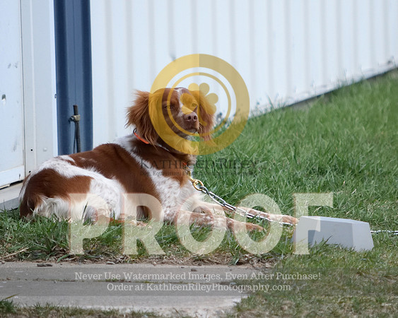 2021-04-22-AmyKleine-7194
