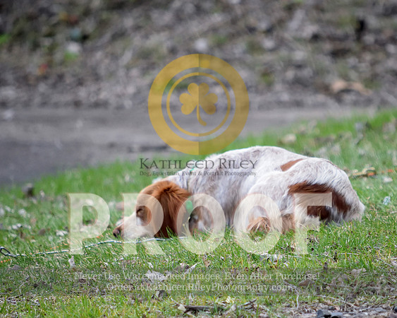 2021-04-22-AmyKleine-7195