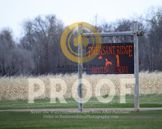 2021-04-22-AmyKleine-7196