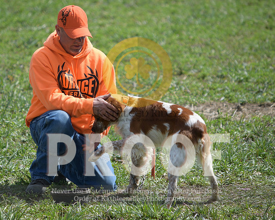 2021-04-22-AmyKleine-7208