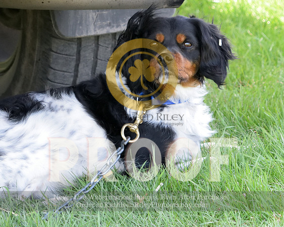 2021-04-22-AmyKleine-7210