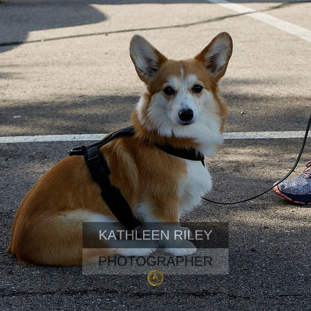 2022-KathleenRileyPhotography-7607