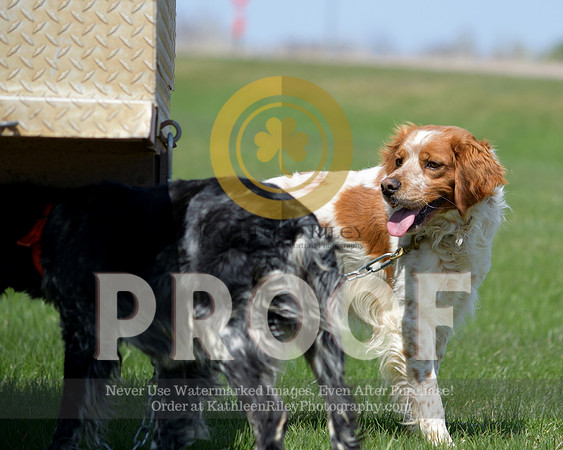 2021-04-22-AmyKleine-7239