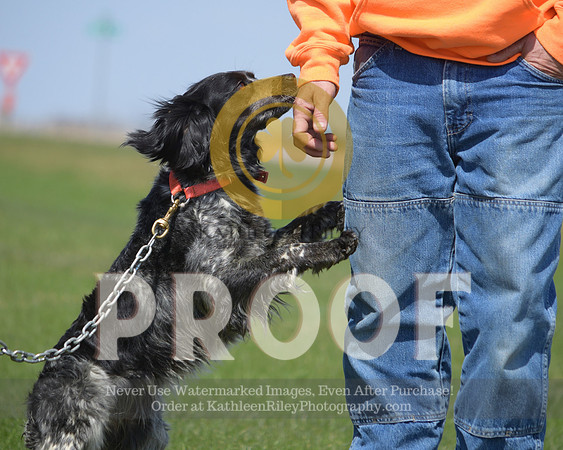 2021-04-22-AmyKleine-7236