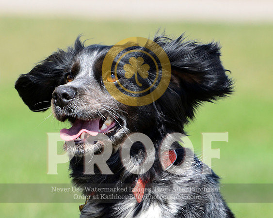 2021-04-22-AmyKleine-7252