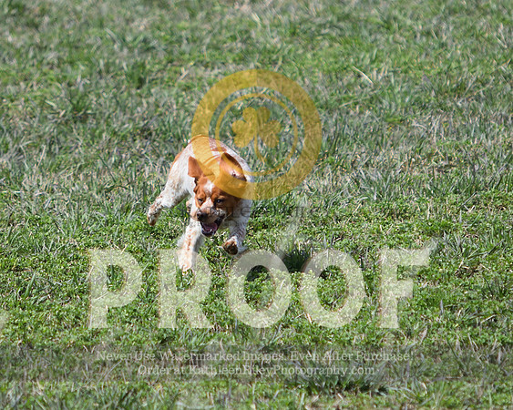 2021-04-22-AmyKleine-7298