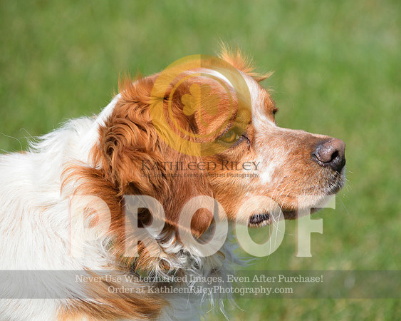 2021-04-22-AmyKleine-7322