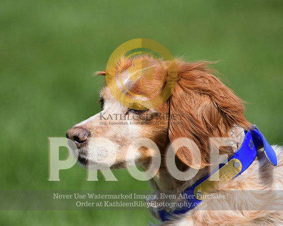2021-04-22-AmyKleine-7323