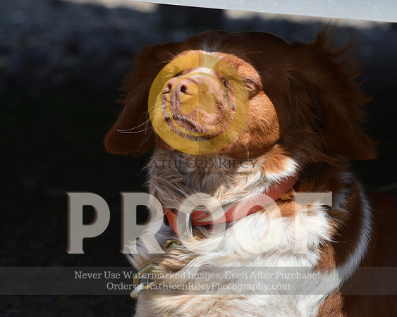 2021-04-22-AmyKleine-7336