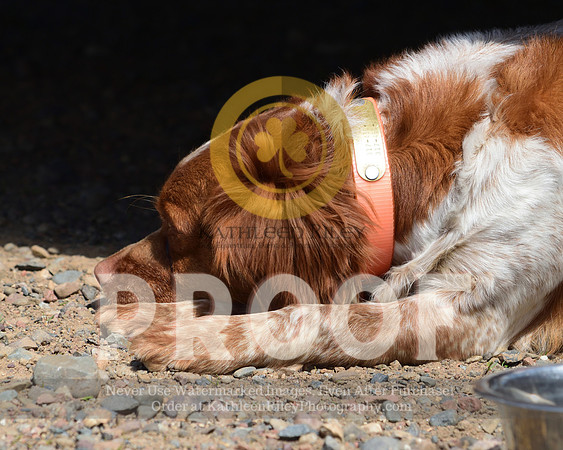 2021-04-22-AmyKleine-7355