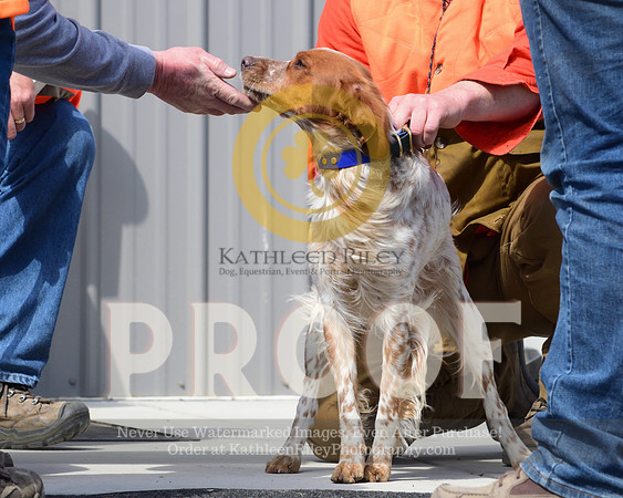 2021-04-22-AmyKleine-7359