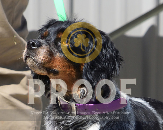 2021-04-22-AmyKleine-7385