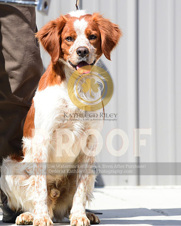 2021-04-22-AmyKleine-7378
