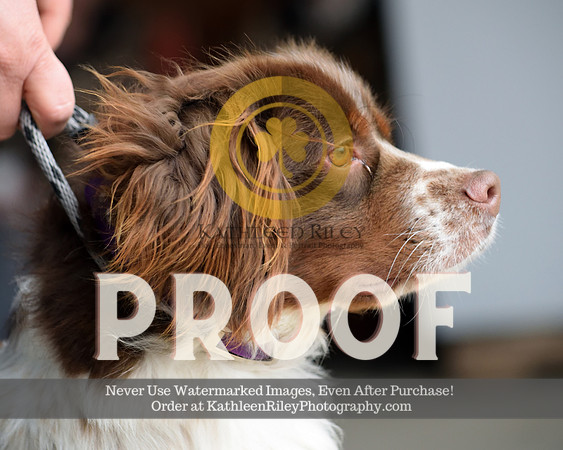 2021-04-23-AmyKleine-7441