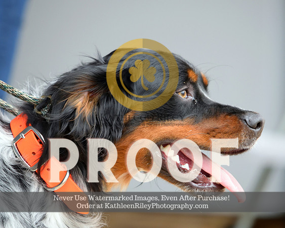 2021-04-23-AmyKleine-7472