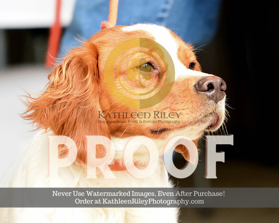 2021-04-23-AmyKleine-7487a