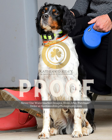 2021-04-23-AmyKleine-7495