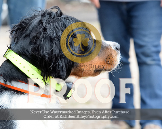 2021-04-23-AmyKleine-7518