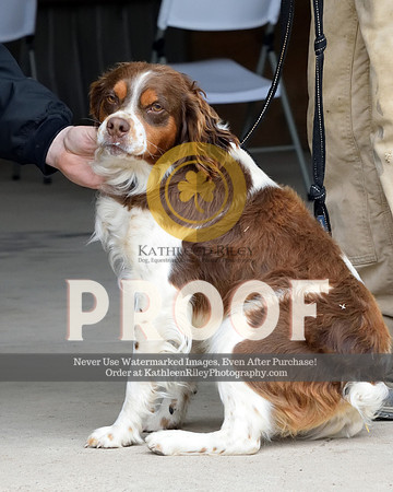 2021-04-23-AmyKleine-7529