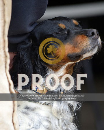 2021-04-23-AmyKleine-7586