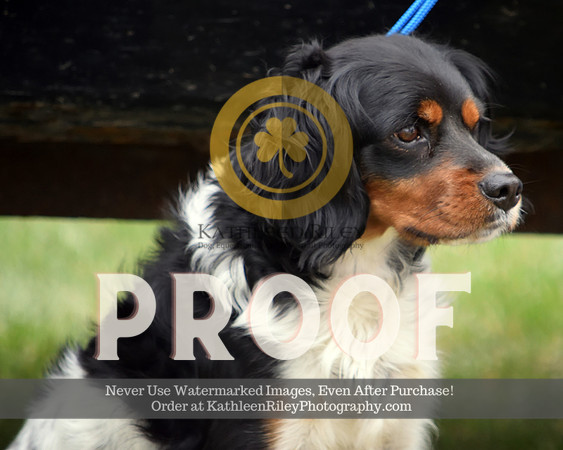 2021-04-23-AmyKleine-7677