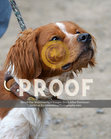 2021-04-23-AmyKleine-7714