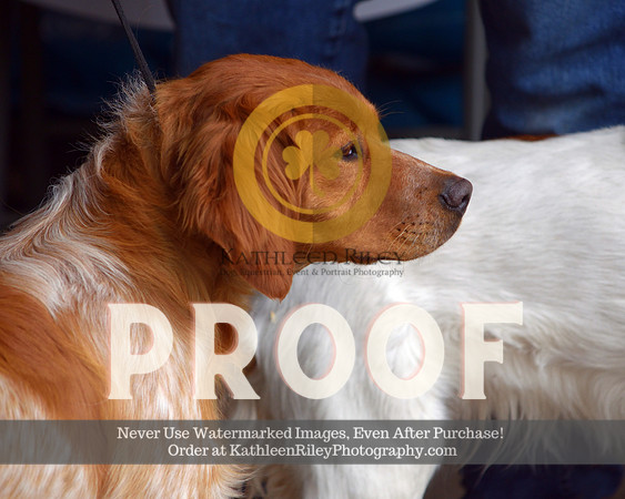2021-04-23-AmyKleine-7908