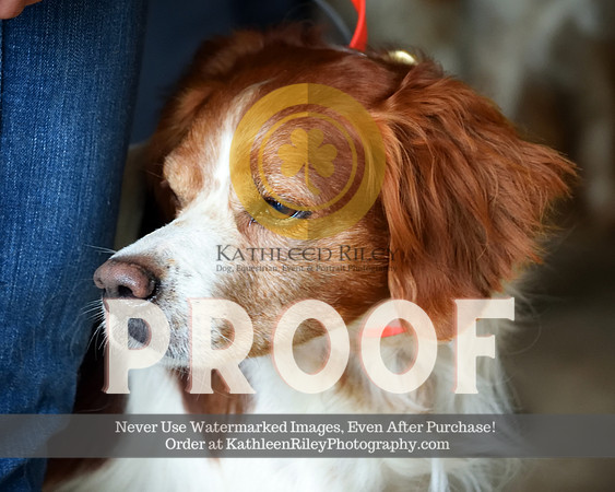 2021-04-23-AmyKleine-7956