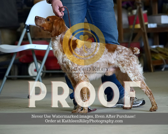 2021-04-23-AmyKleine-7977