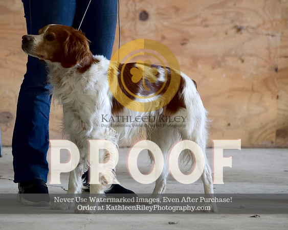 2021-04-23-AmyKleine-8007