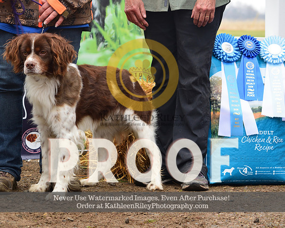 2021-04-23-AmyKleine-8049