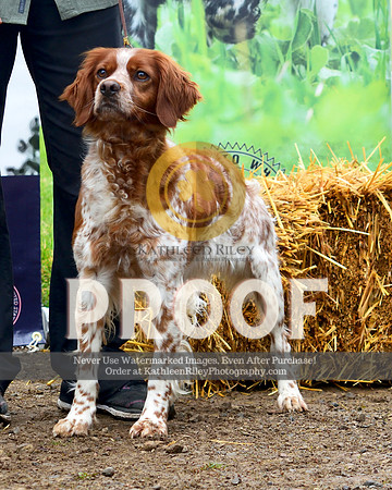 2021-04-23-AmyKleine-8058