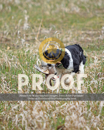 2021-04-24-AmyKleine-8115