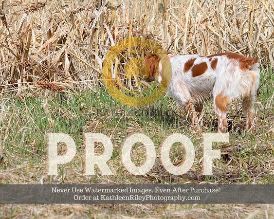 2021-04-24-AmyKleine-8148