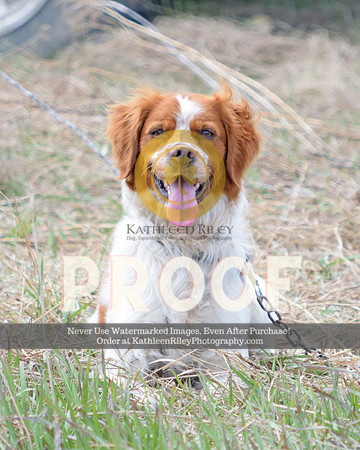 2021-04-24-AmyKleine-8379