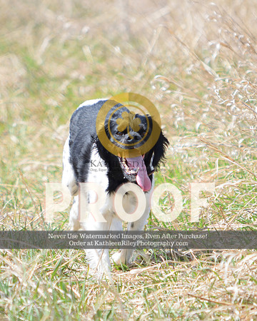 2021-04-24-AmyKleine-8501