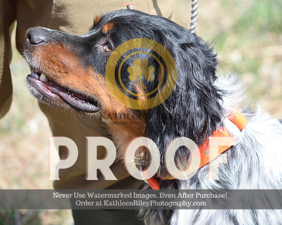 2021-04-24-AmyKleine-8510