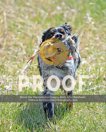 2021-04-24-AmyKleine-8554