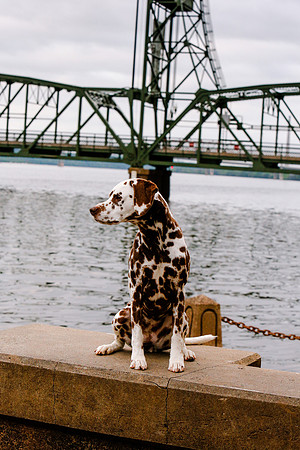 2021-KathleenRileyPhotography-7095