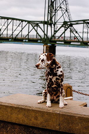 2021-KathleenRileyPhotography-7104