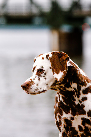 2021-KathleenRileyPhotography-7112
