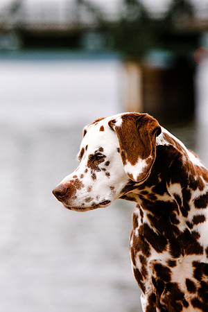 2021-KathleenRileyPhotography-7115