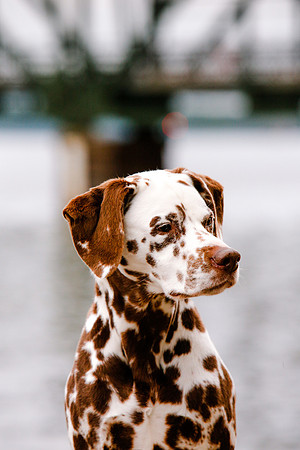 2021-KathleenRileyPhotography-7123