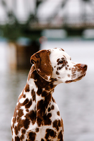 2021-KathleenRileyPhotography-7126